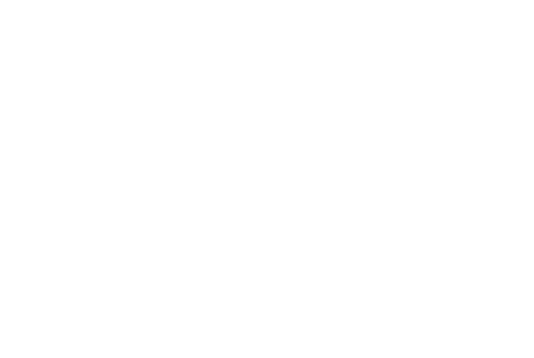 Logotipo Casamento Patricia e Miguel SantosDamasio 2025